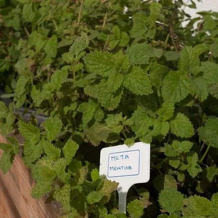 Family Fun Pohorje * Ruse