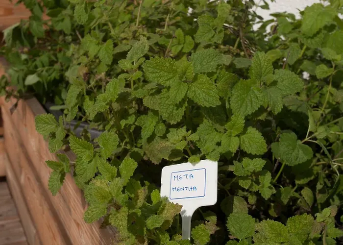 Family Fun Pohorje * Ruse